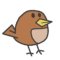 little bird